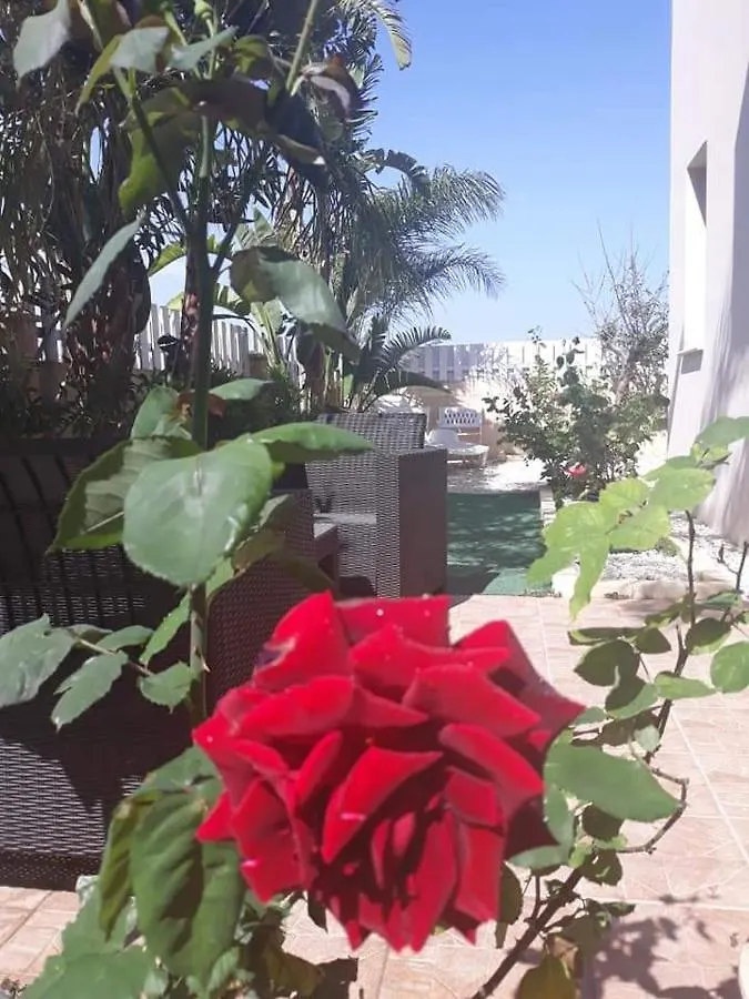 Garden Art Apartamento Perivolia Chipre